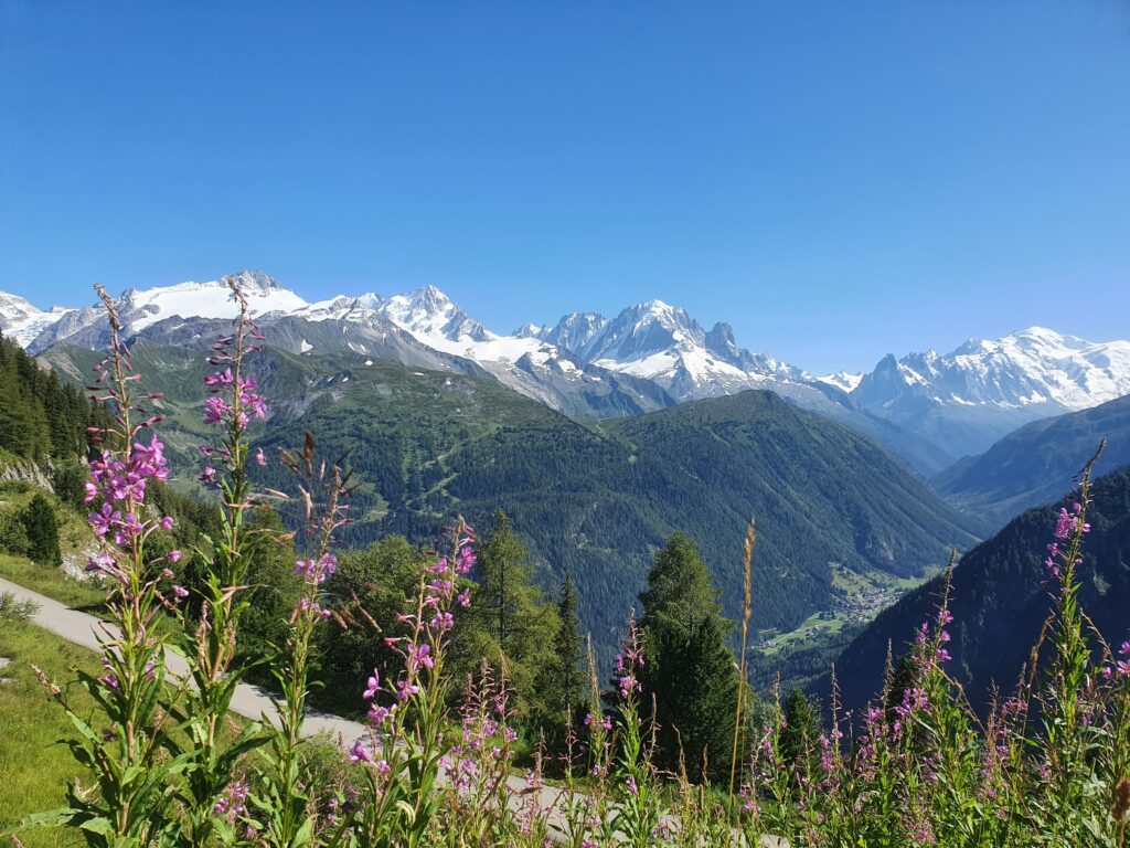 Švajčiarsko + Chamonix