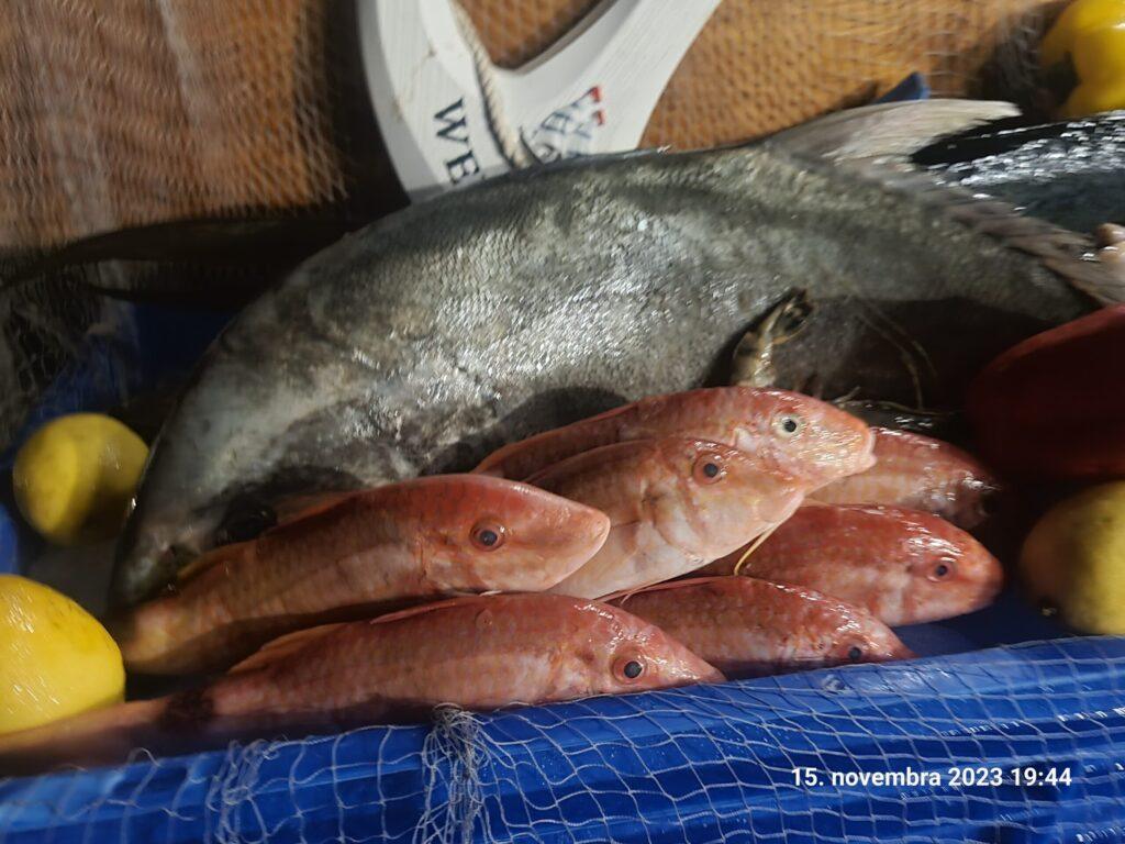 Omán
